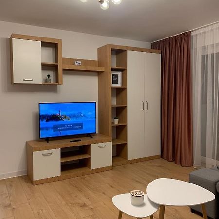 Sunny Apartment In 苏恰瓦 外观 照片